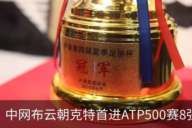 中网布云朝克特首进ATP500赛8强 张帅晋级16强