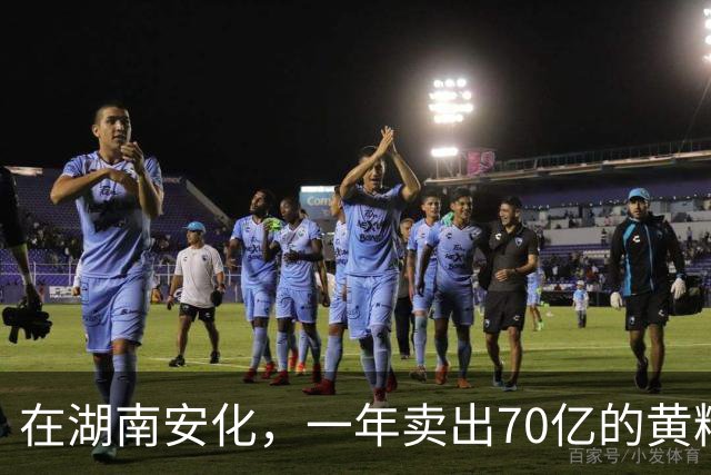 在湖南安化，一年卖出70亿的黄精，到底哪些人在买